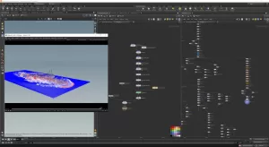 13_FLIP custom setup